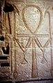 ramas_12_jpg
