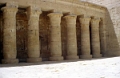 ramas_14_jpg