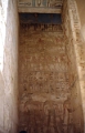 ramas_21_jpg