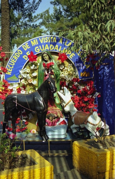 guadalupe_mexico_001.jpg