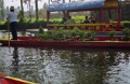 xochimilco_003