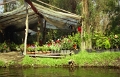 xochimilco_004