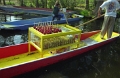 xochimilco_006