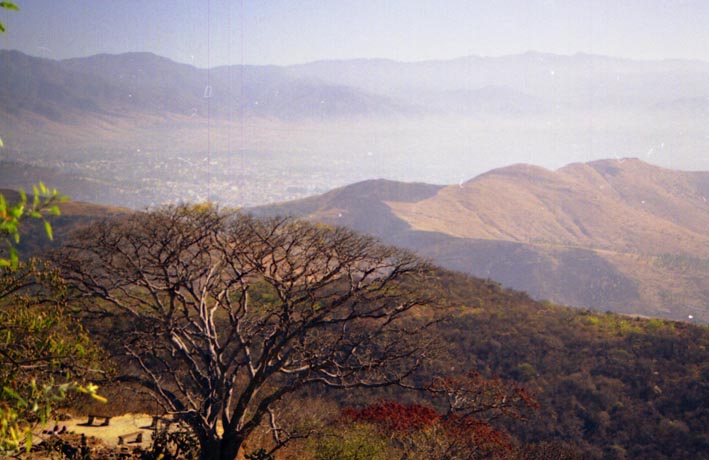 monte_alban_008.jpg