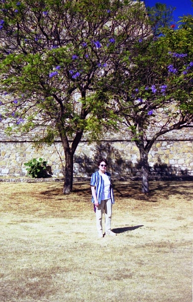 monte_alban_014.jpg