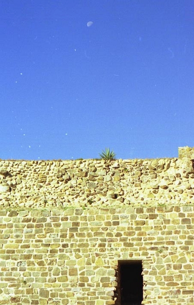 monte_alban_033.jpg