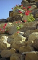 monte_alban_012