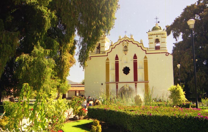 tule_001.jpg