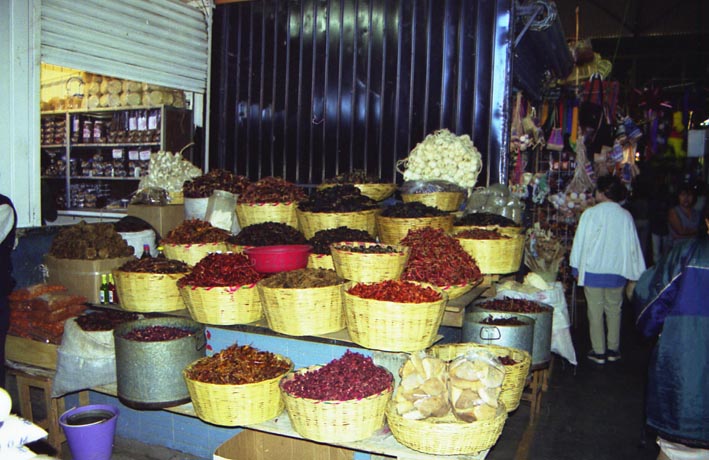 oaxaca_015.jpg