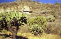 yagul_001