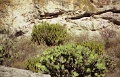 yagul_002