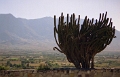 yagul_004