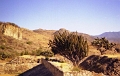 yagul_005