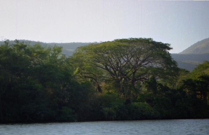 canion_sumidero_001.jpg