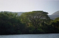 canion_sumidero_001