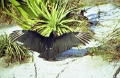 canion_sumidero_004