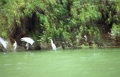 canion_sumidero_005