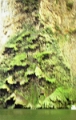 canion_sumidero_017