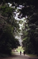 palenque_029