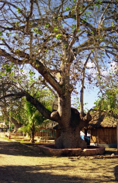pueblo_maya_002.jpg