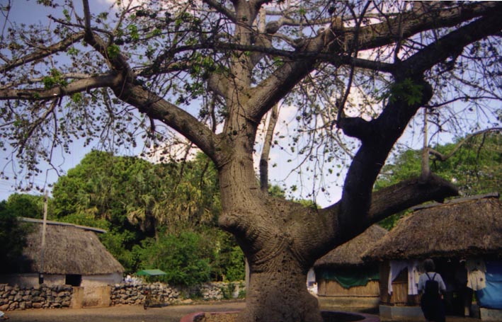 pueblo_maya_005.jpg