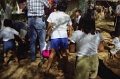 pinata_005