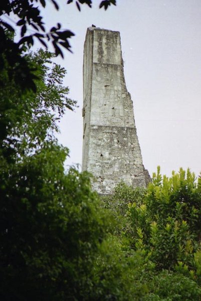 tikal_021.jpg
