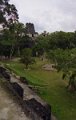 tikal_013