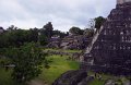 tikal_014