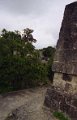 tikal_017