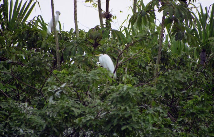rio_dulce_010.jpg