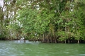 rio_dulce_007