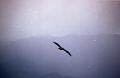 rio_dulce_008
