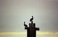 rio_dulce_009