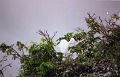 rio_dulce_0132