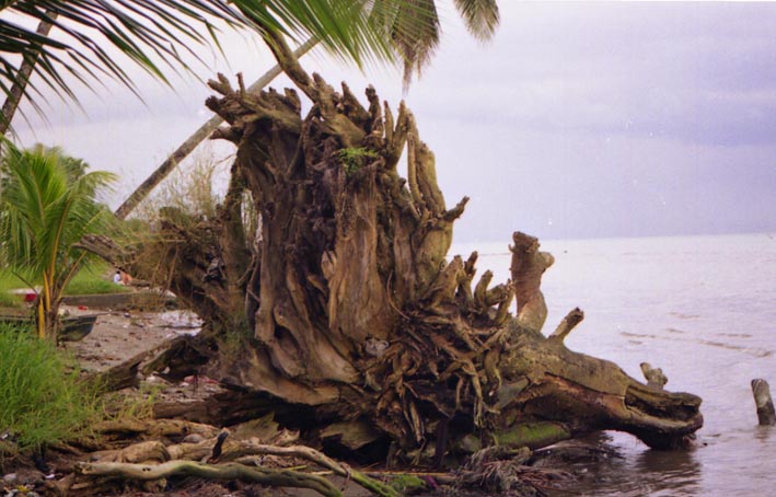 livingston_005.jpg
