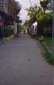 livingston_002