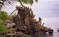 livingston_005