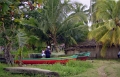 livingston_006