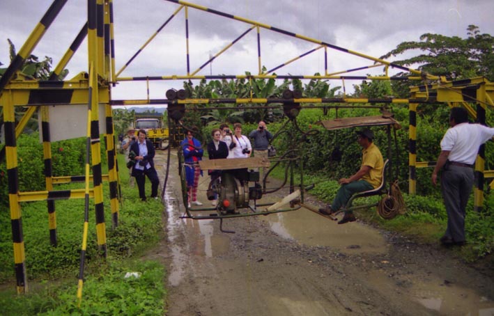 bananeraie_001.jpg