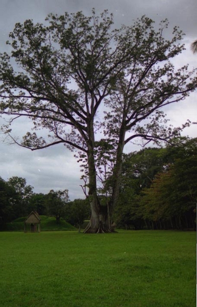 quirigua_005.jpg