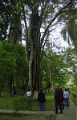 quirigua_001