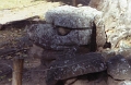quirigua_011