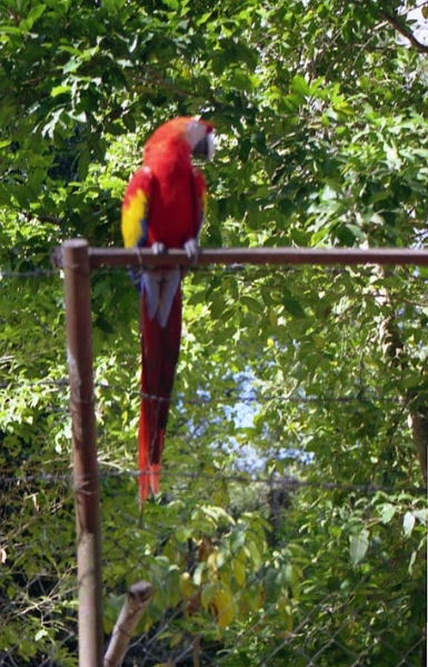 copan_006.jpg