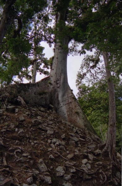 copan_024.jpg