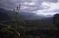 copan_001