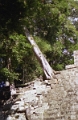 copan_011