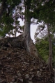 copan_024