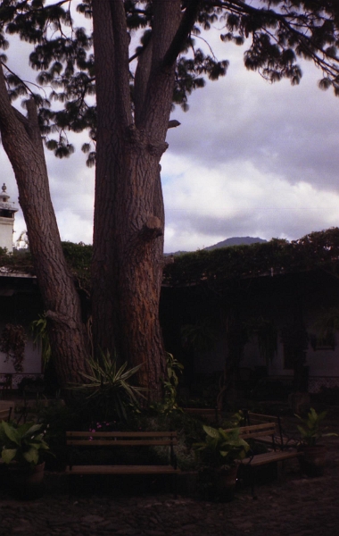 antigua_029.jpg