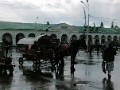 kostroma_002